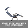 Snow Joe Bliss Hammocks Gravity Free Chair w Canopy, Pillow, Drink Tray GFC-436DB